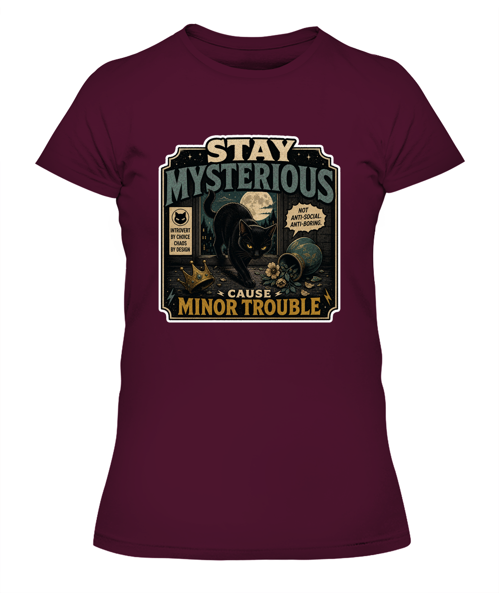 Stay Mysterious Cause Minor Trouble Ladies T-Shirt | Black Cat Lover Gift